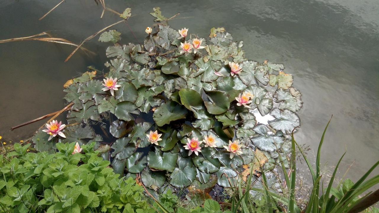 Chambre Coin Nature Fromelles Esterno foto